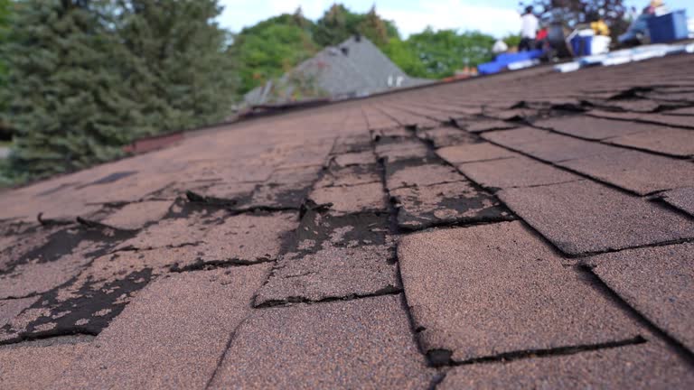 Best Roof Ventilation Installation  in St Anne, IL