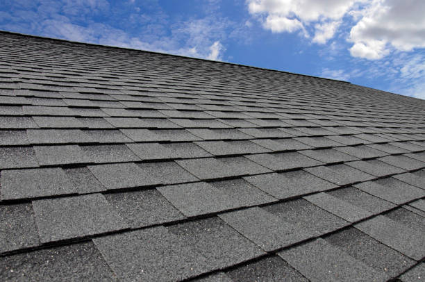 Best Asphalt Shingle Roofing  in St Anne, IL