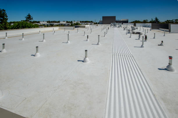 Best Commercial Roofing Services  in St Anne, IL